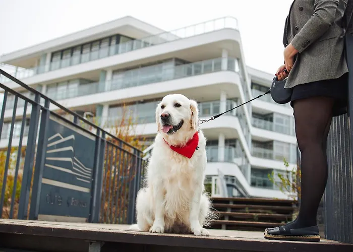 Dune - A ミエルノ